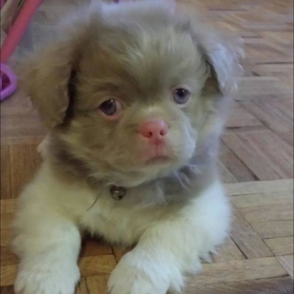 Meet your Posher, Diahnne - Picture 1 of 1